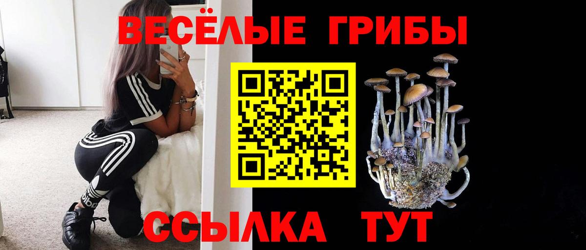 Псилоцибиновые грибы Psilocybe  Вход с VPN  Качканар  Галлюциногенные грибы мицелий 